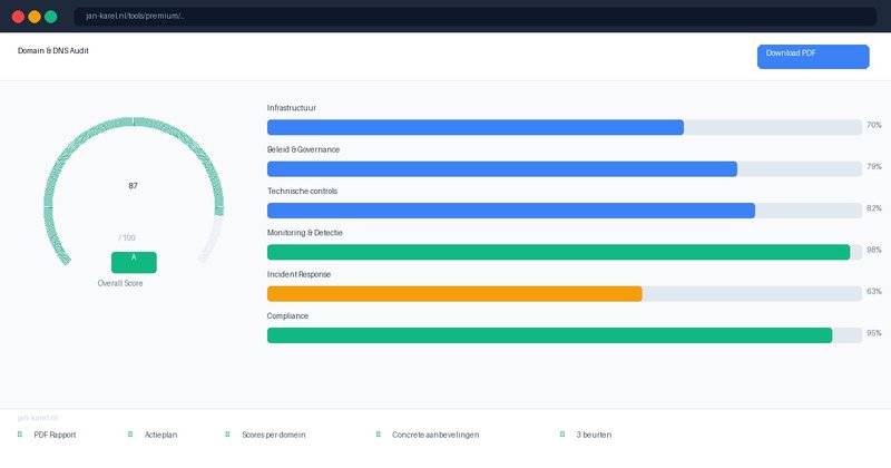 Premium Domain & DNS Audit
